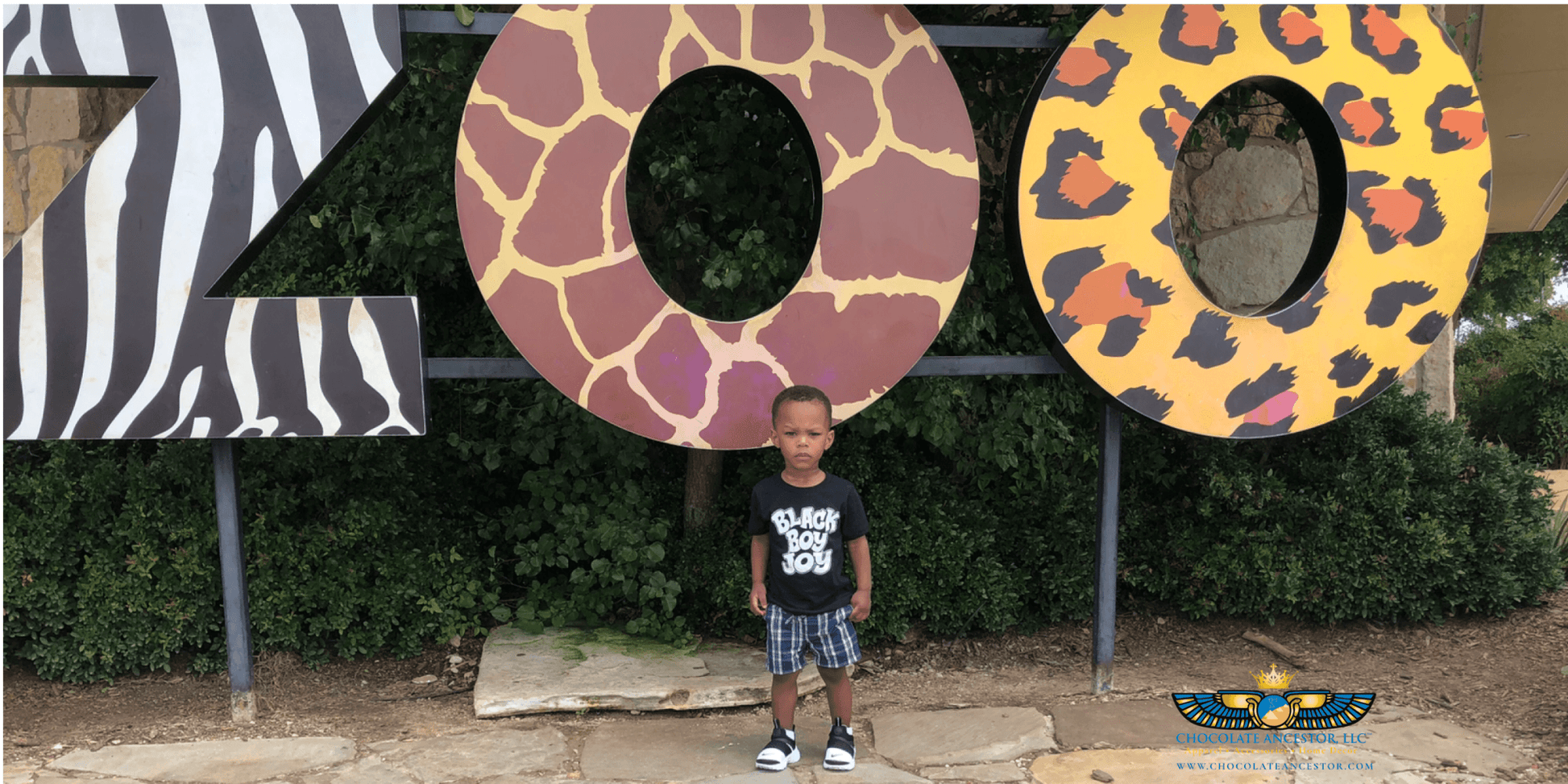 Black Boy Joy Toddler Short Sleeve Tee - Chocolate Ancestor