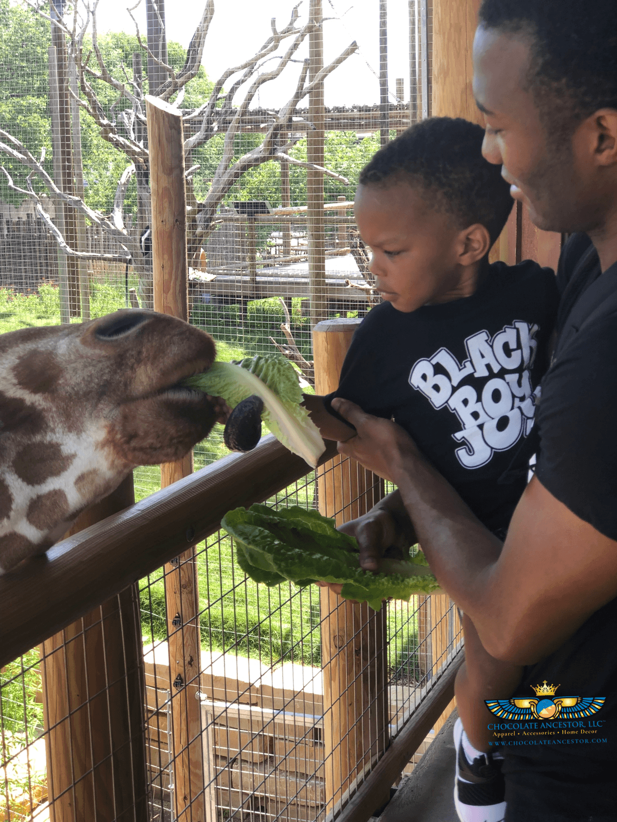 Black Boy Joy Toddler Short Sleeve Tee - Chocolate Ancestor